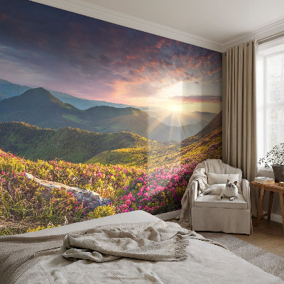 Fototapeta na stěnu Horské panorama