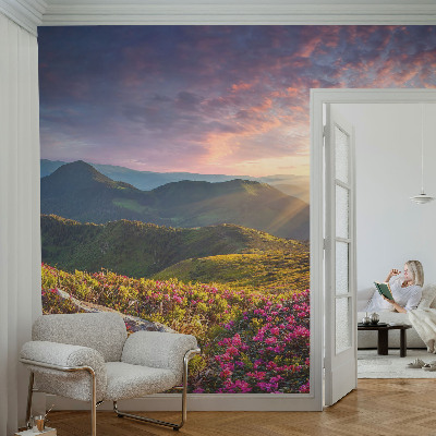 Fototapeta na stěnu Horské panorama