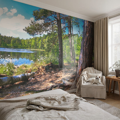 Vliesová fototapeta do obýváků Lesní krajina