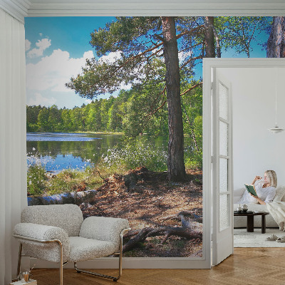 Vliesová fototapeta do obýváků Lesní krajina