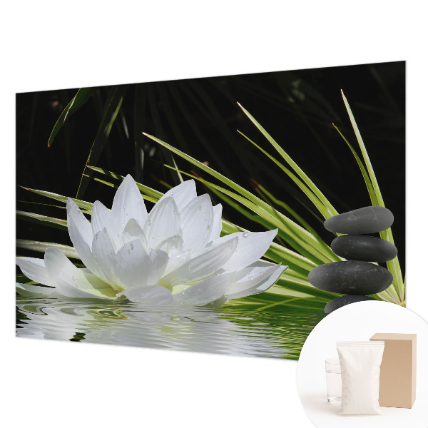 Fototapeta na stěnu Meditace s liliemi