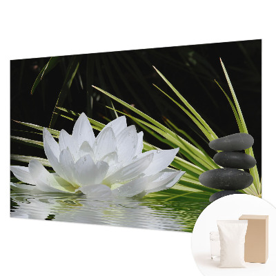 Fototapeta na stěnu Meditace s liliemi