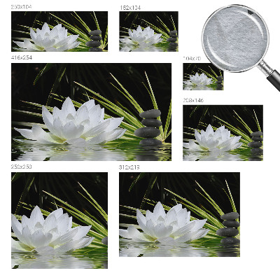 Fototapeta na stěnu Meditace s liliemi