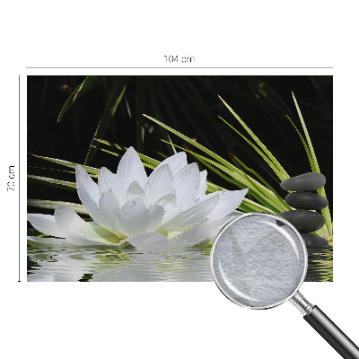 Fototapeta na stěnu Meditace s liliemi