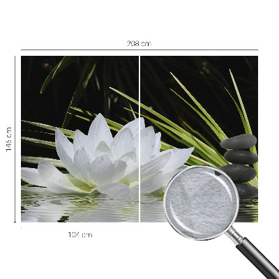 Fototapeta na stěnu Meditace s liliemi