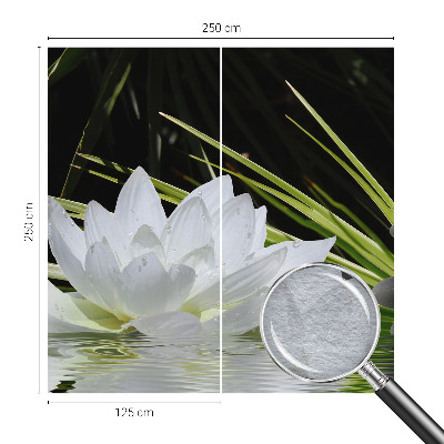 Fototapeta na stěnu Meditace s liliemi