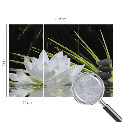 Fototapeta na stěnu Meditace s liliemi