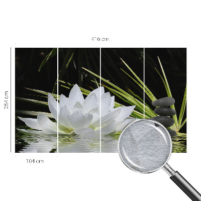 Fototapeta na stěnu Meditace s liliemi
