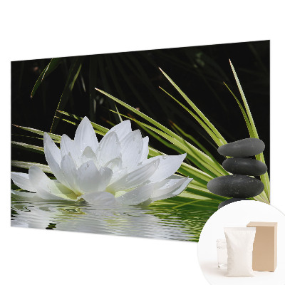 Fototapeta na stěnu Meditace s liliemi