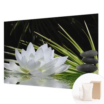 Fototapeta na stěnu Meditace s liliemi