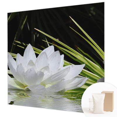 Fototapeta na stěnu Meditace s liliemi