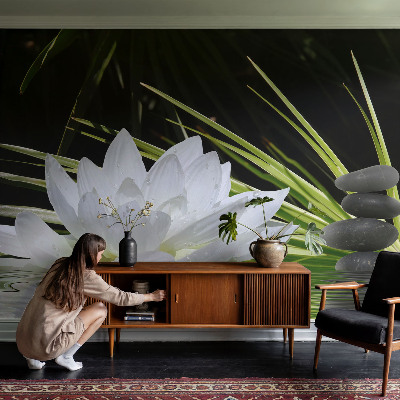 Fototapeta na stěnu Meditace s liliemi