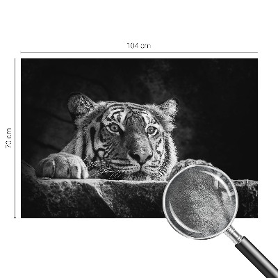 Fotografická tapeta vliesová Dravý pohled