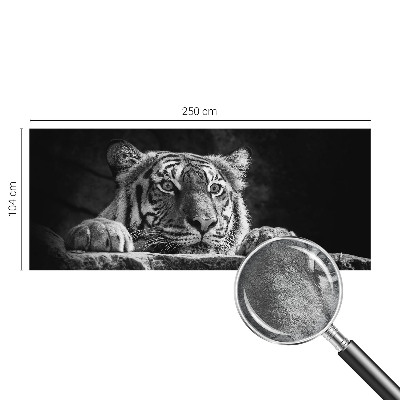 Fotografická tapeta vliesová Dravý pohled