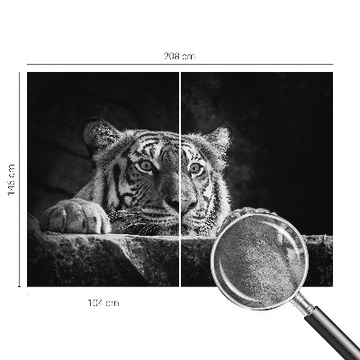 Fotografická tapeta vliesová Dravý pohled