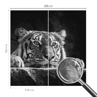 Fotografická tapeta vliesová Dravý pohled