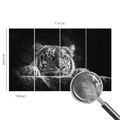 Fotografická tapeta vliesová Dravý pohled