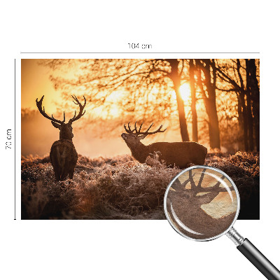 Moderní fototapeta na míru Jelen ráno