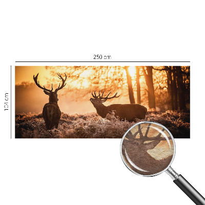 Moderní fototapeta na míru Jelen ráno