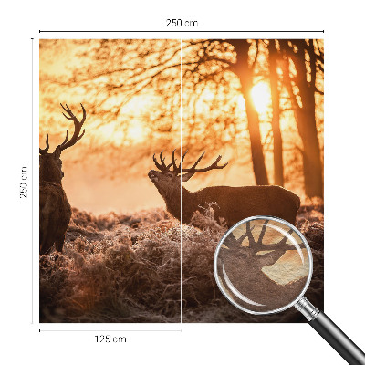 Moderní fototapeta na míru Jelen ráno