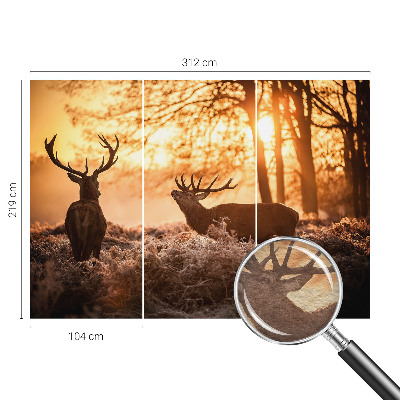 Moderní fototapeta na míru Jelen ráno