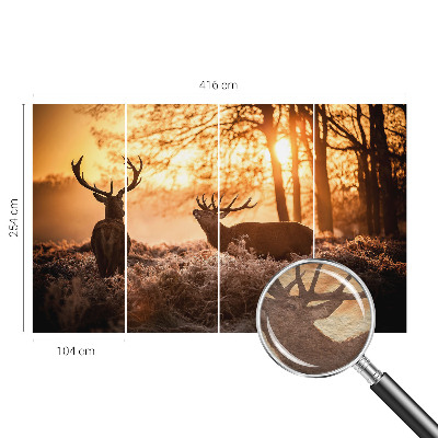 Moderní fototapeta na míru Jelen ráno