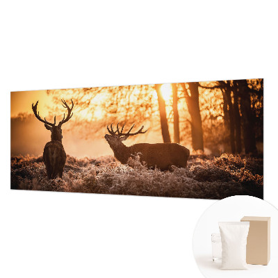 Moderní fototapeta na míru Jelen ráno