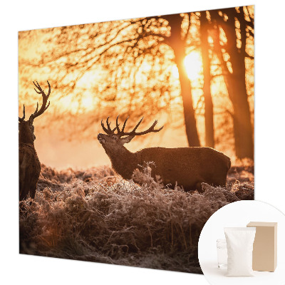 Moderní fototapeta na míru Jelen ráno