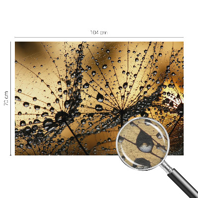Fototapeta do ložnice Jemné kapky