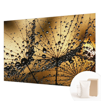 Fototapeta do ložnice Jemné kapky
