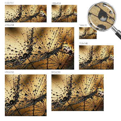 Fototapeta do ložnice Jemné kapky