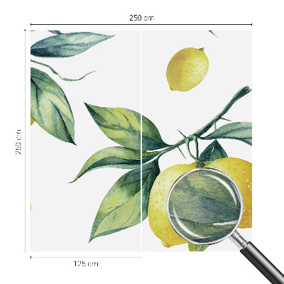 Dekorativní fototapeta na zeď Citronový motiv