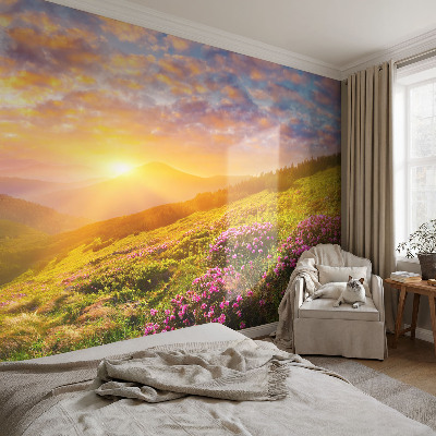 Fototapeta s potiskem na vliesu Horský západ