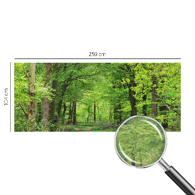 Moderní fototapeta na míru Lesní cesta