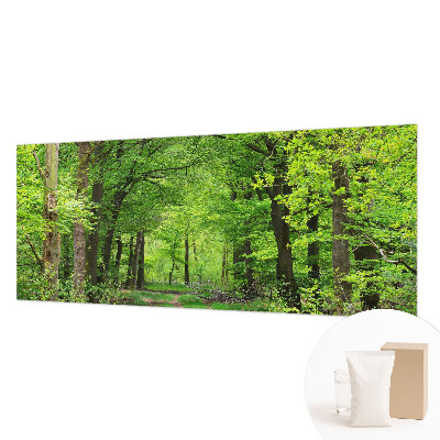 Moderní fototapeta na míru Lesní cesta
