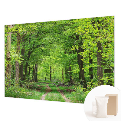 Moderní fototapeta na míru Lesní cesta