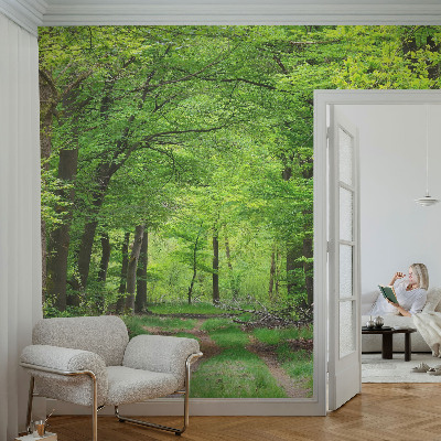 Moderní fototapeta na míru Lesní cesta