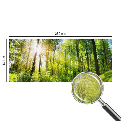 Fotografická tapeta na vliesu Lesní světlo