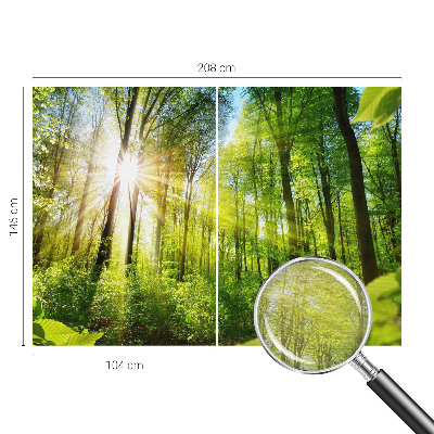 Fotografická tapeta na vliesu Lesní světlo