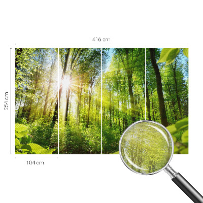 Fotografická tapeta na vliesu Lesní světlo