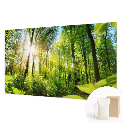 Fotografická tapeta na vliesu Lesní světlo
