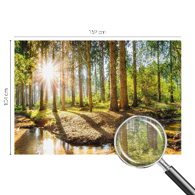 Fototapeta na míru do ložnice Lesní idyla