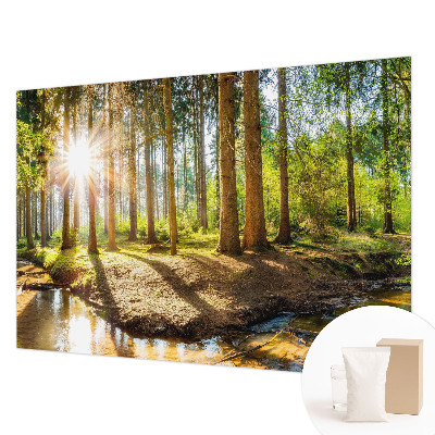 Fototapeta na míru do ložnice Lesní idyla