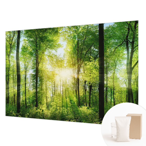 Fototapeta na stěnu Lesní harmonie
