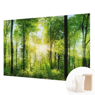 Fototapeta na stěnu s motivem lesní harmonie