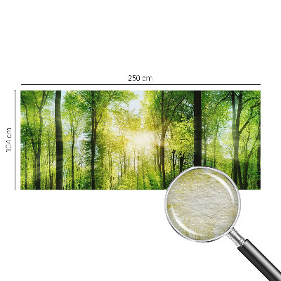Fototapeta na stěnu Lesní harmonie