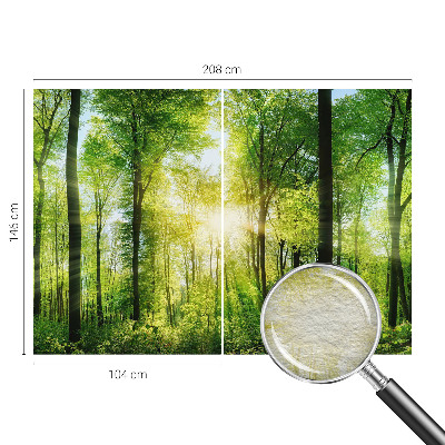 Fototapeta na stěnu Lesní harmonie