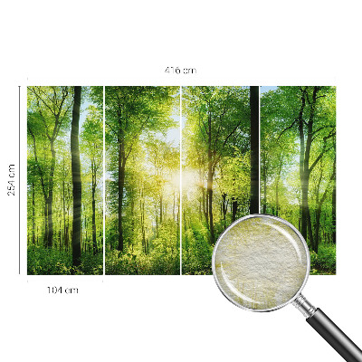 Fototapeta na stěnu Lesní harmonie