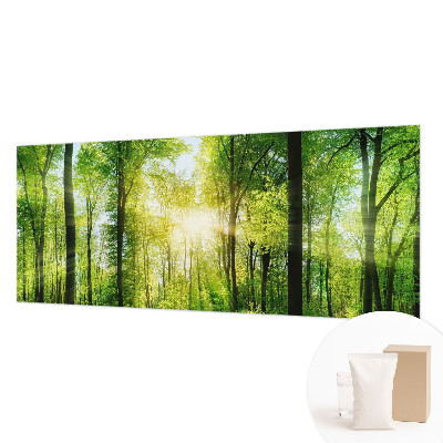 Fototapeta na stěnu Lesní harmonie