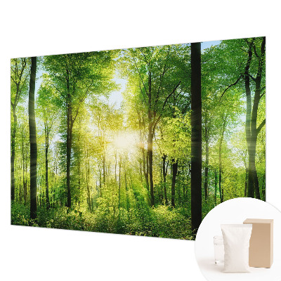 Fototapeta na stěnu Lesní harmonie